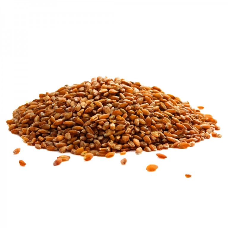 Organic Soft Red Wheat Kernels Small Valley Milling